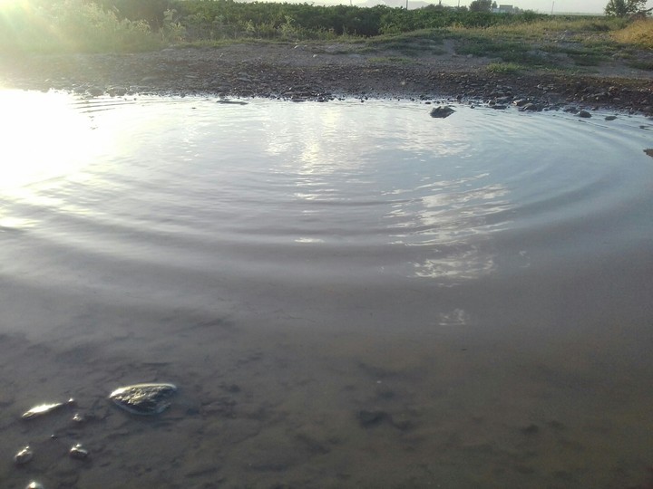 water...blob!!!