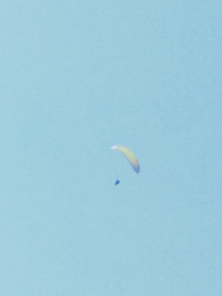 fly