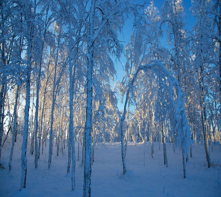 #winter