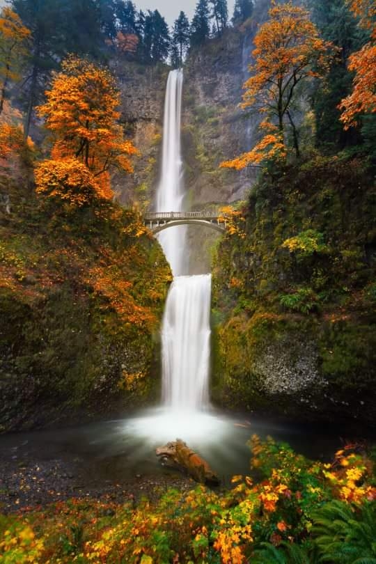 nature