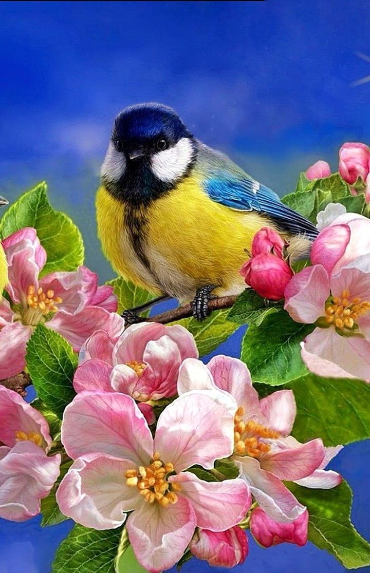 spring