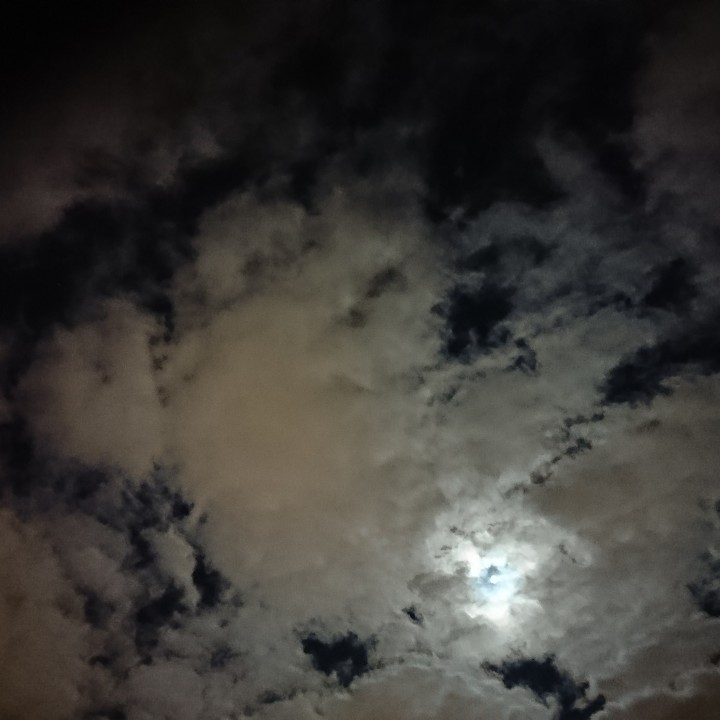 Lunar