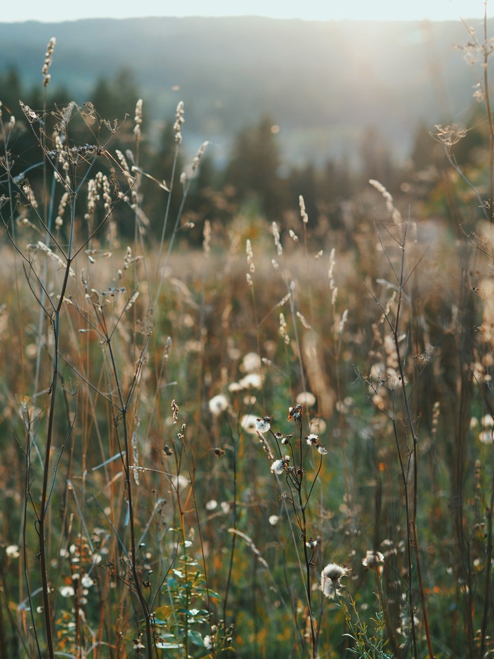 September