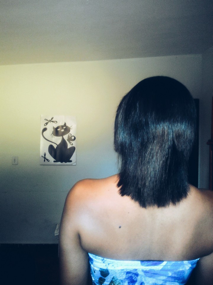 hair and cat