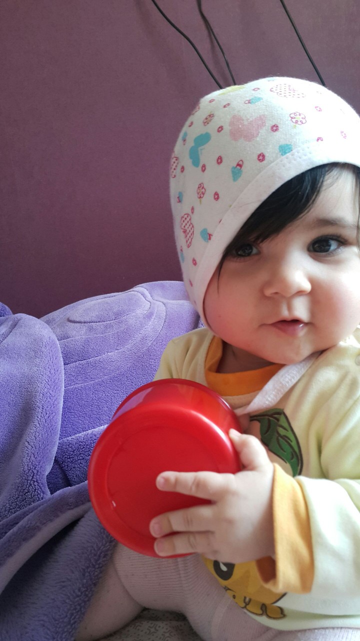 bebek