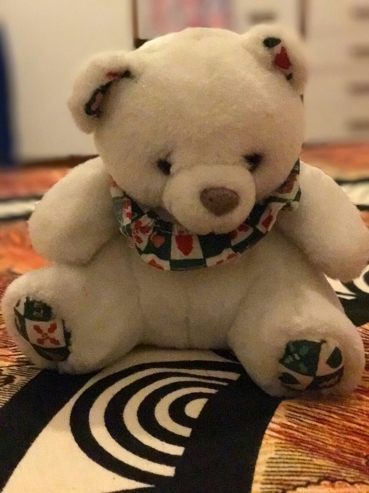 bear