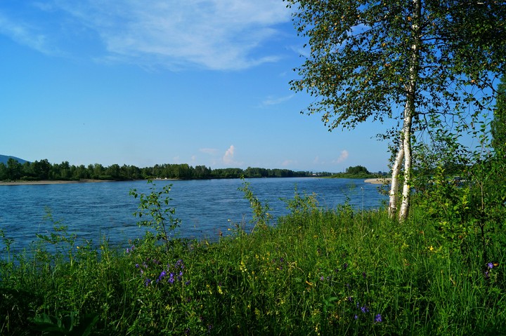 Река Туба