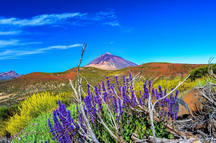 Teide