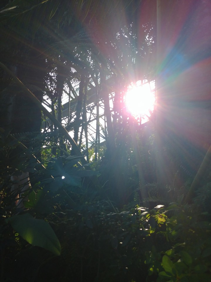 light