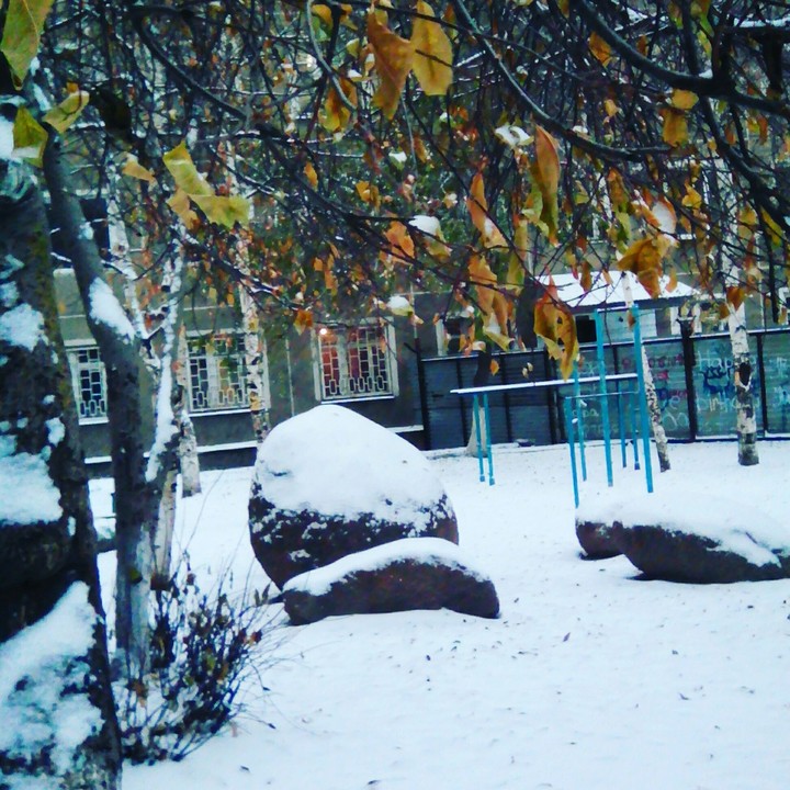 Зима