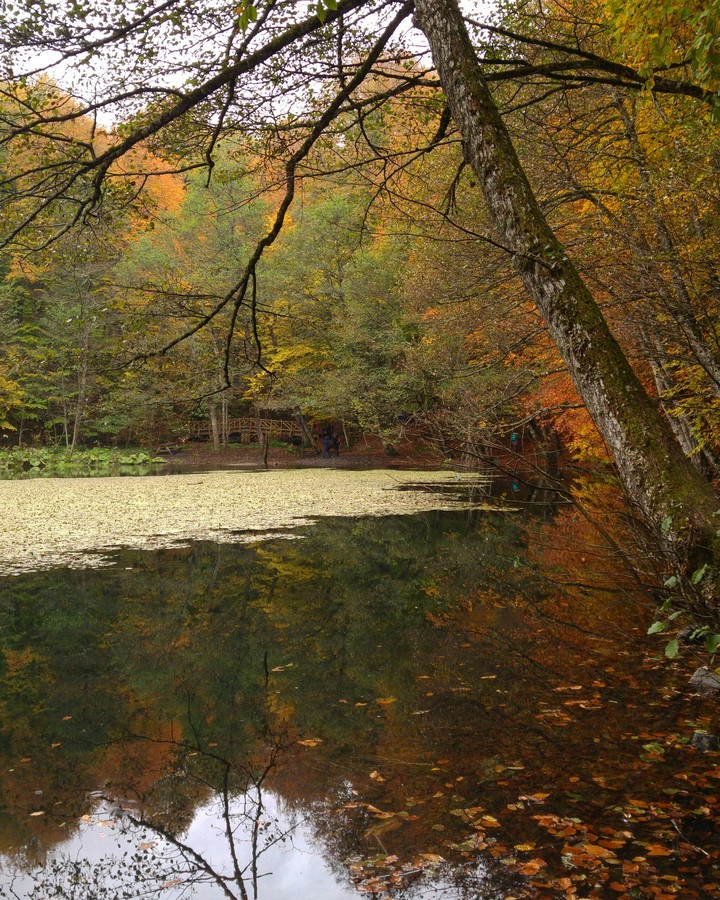 Lake