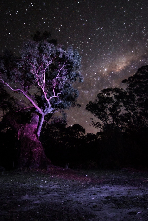 milky way