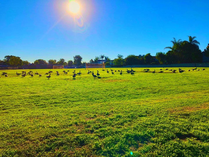 morning feast