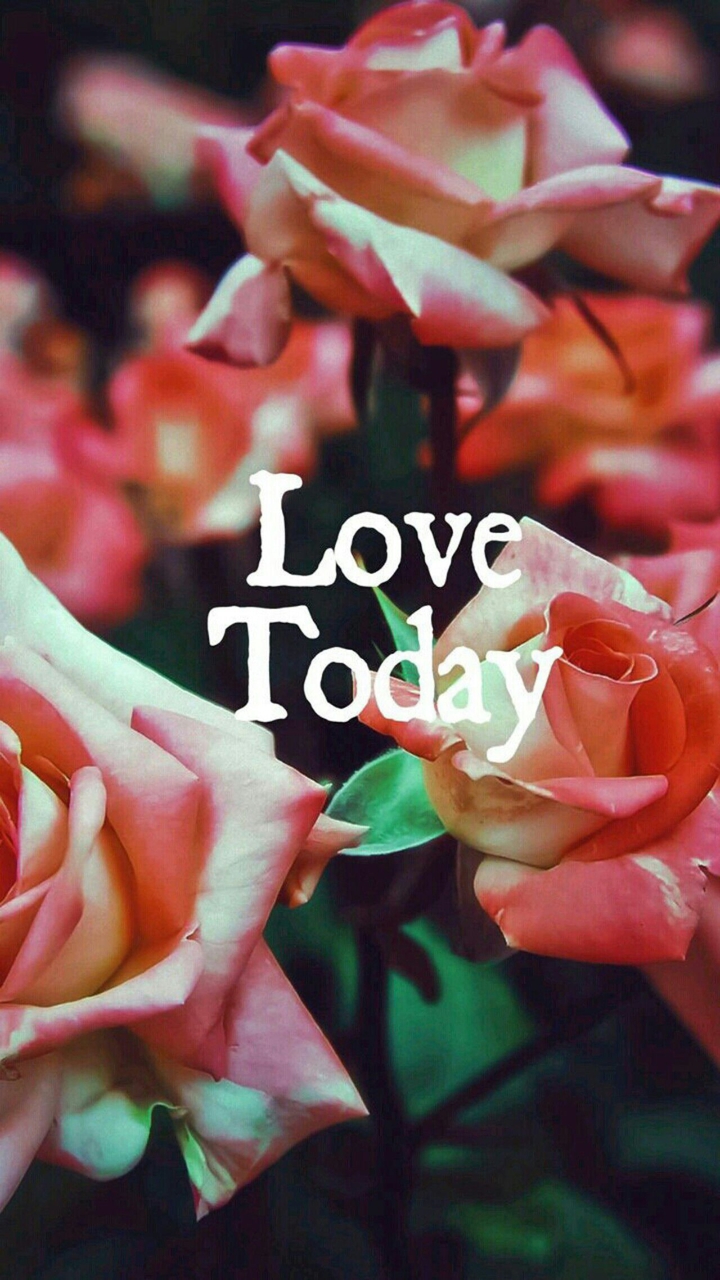 Love Today.
