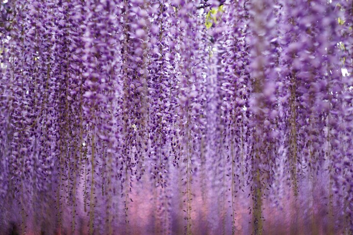 floweret waterfall