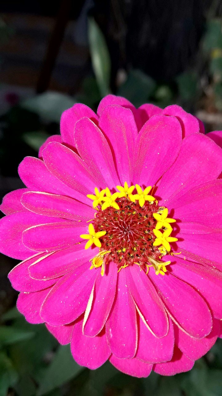 nature at its best