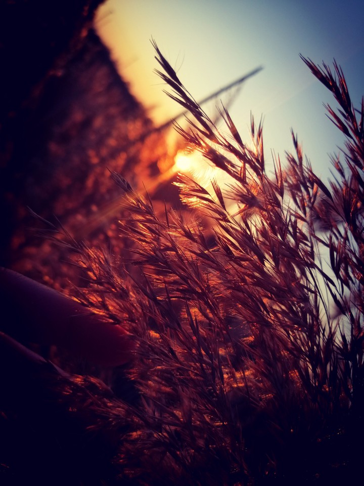 Nature