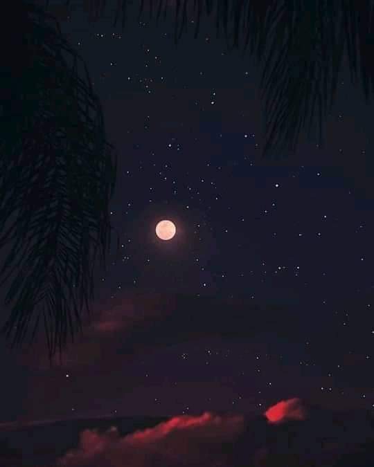 Beautiful  scene