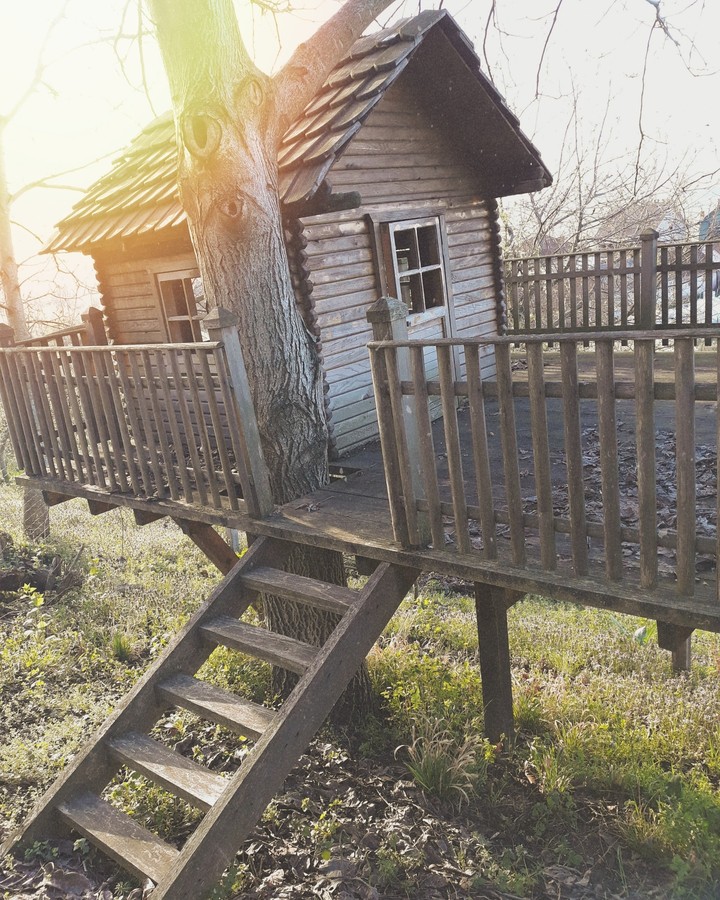 #treehouse