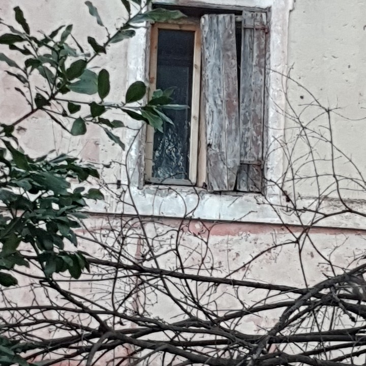 old window