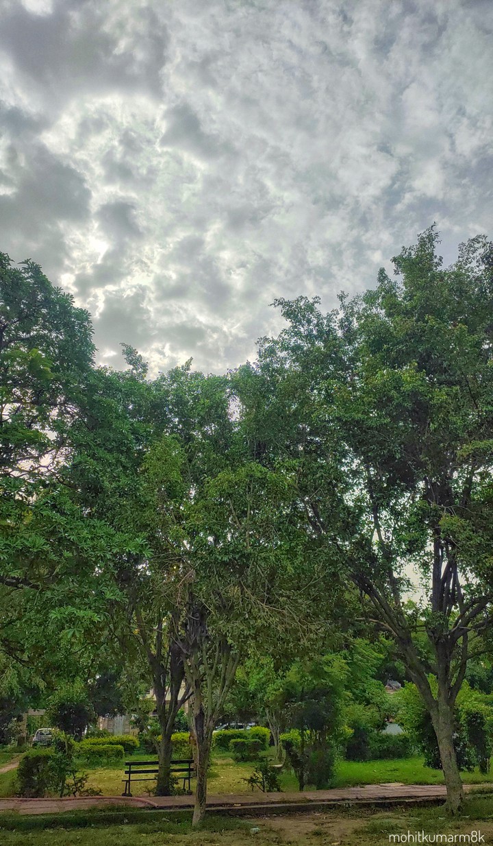 Nature