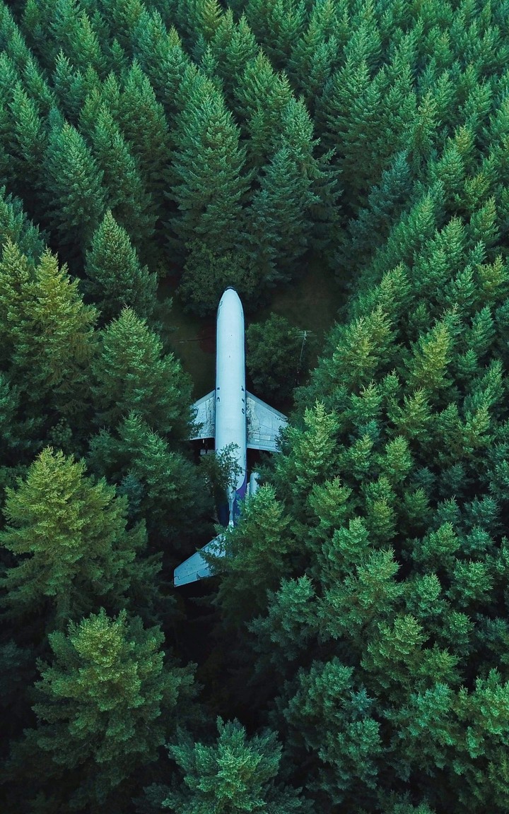 those who fly solo have the strongest wings..!!!