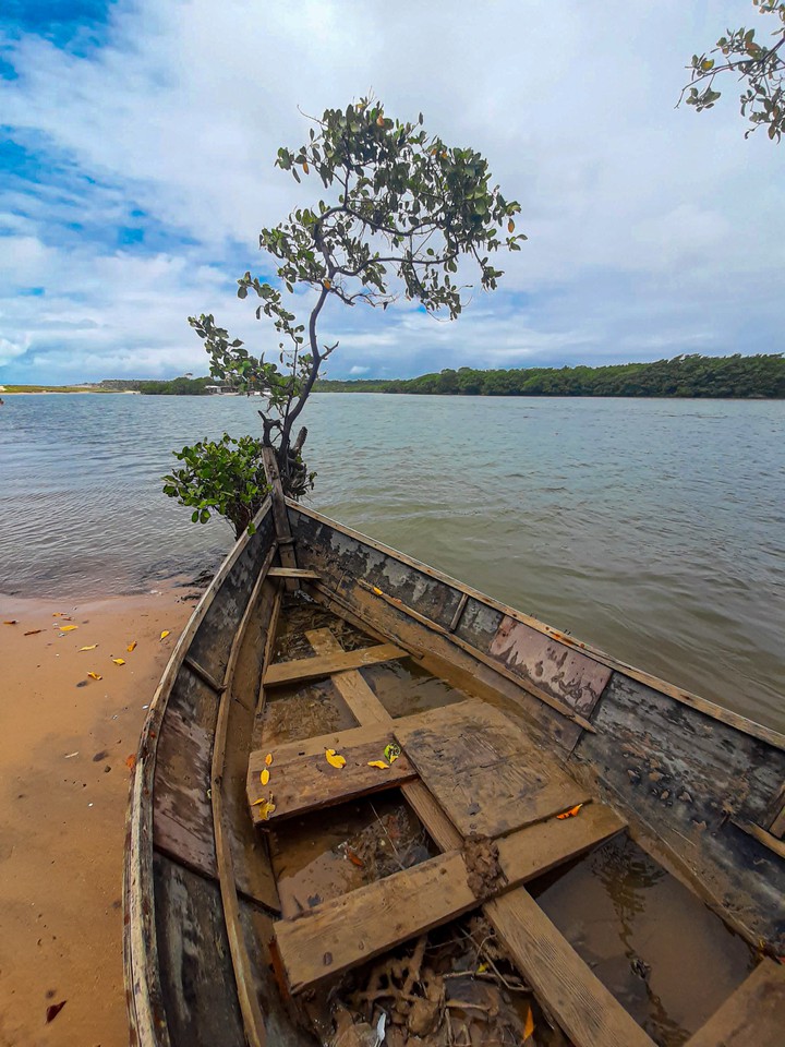 Paisagem