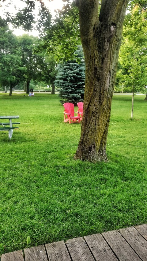 nature