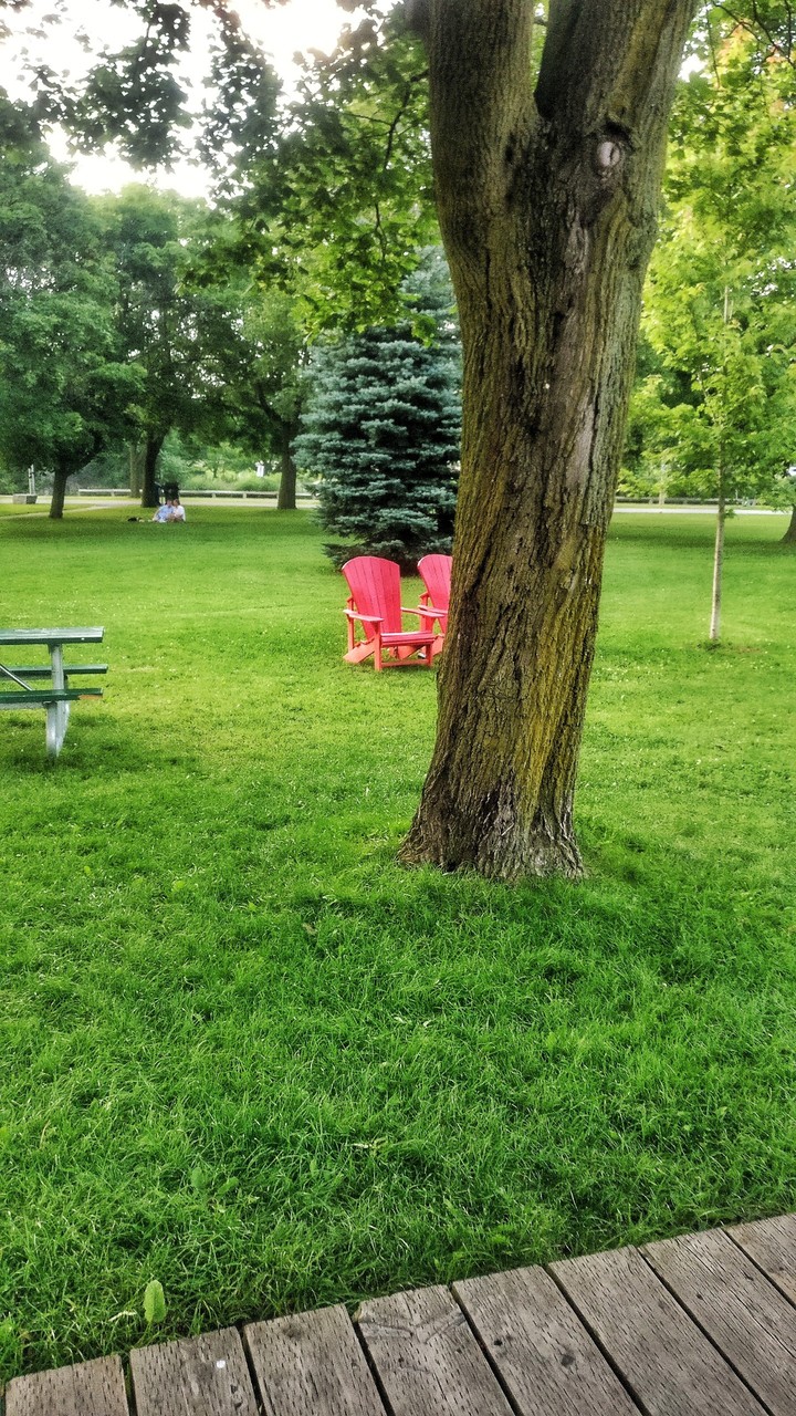 nature