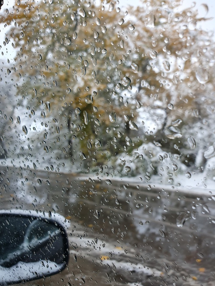 наш первый снег