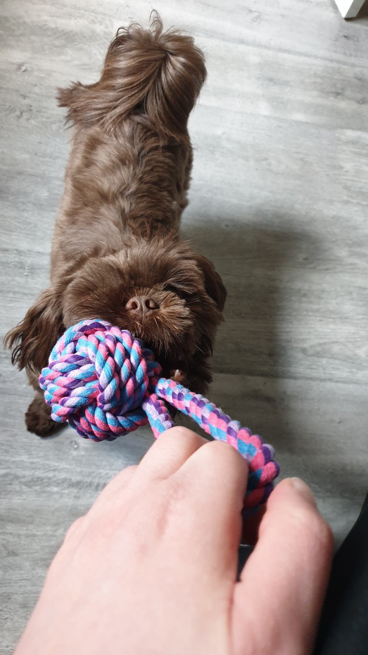 tug of war