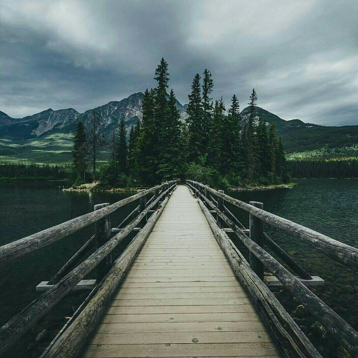Bridge