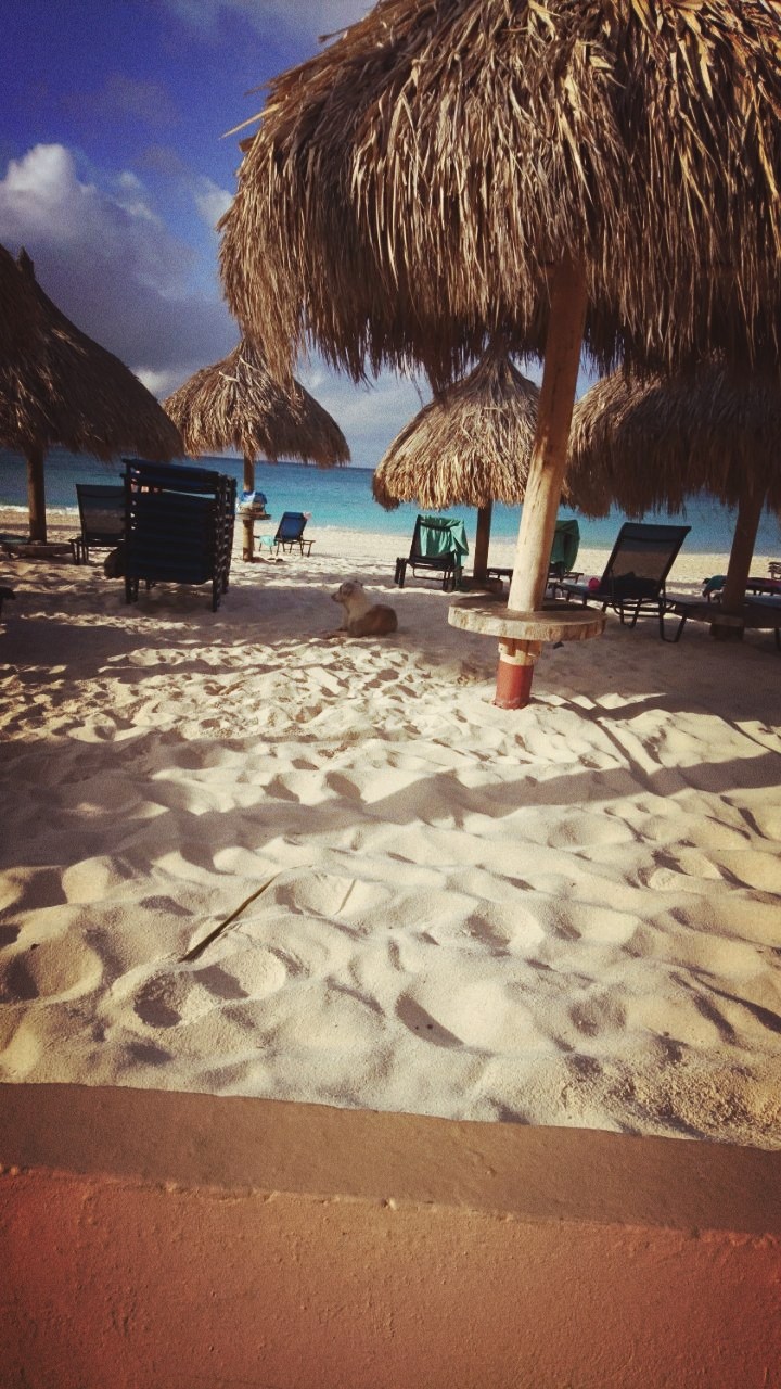 beach