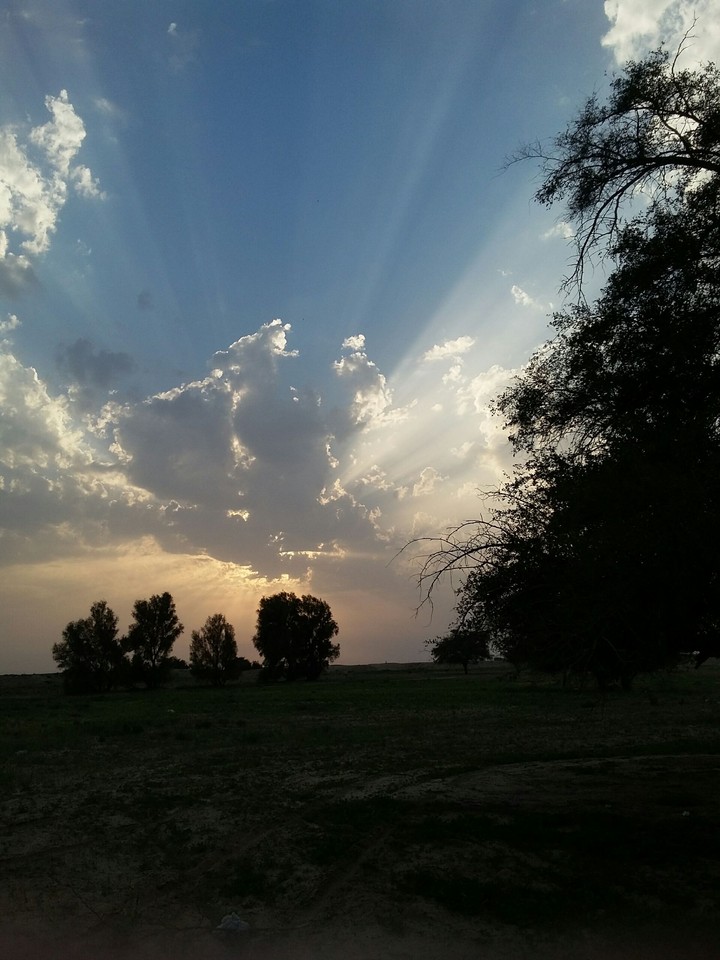 sunset
