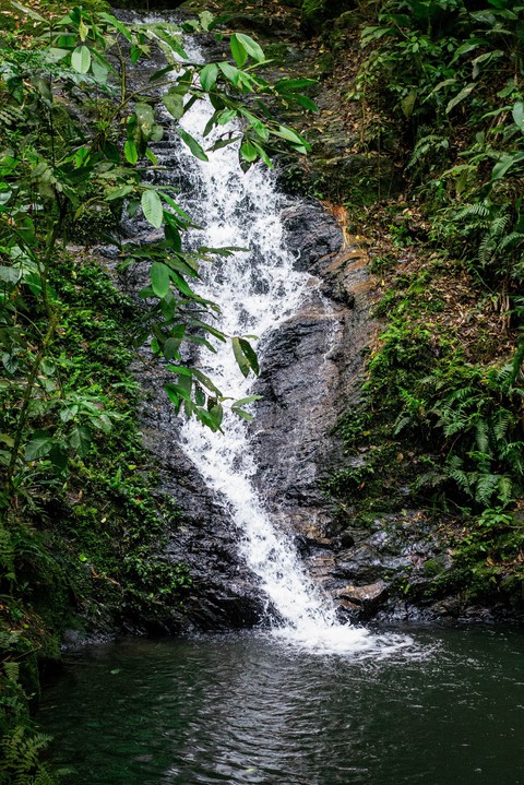 тапети watercourse, spring