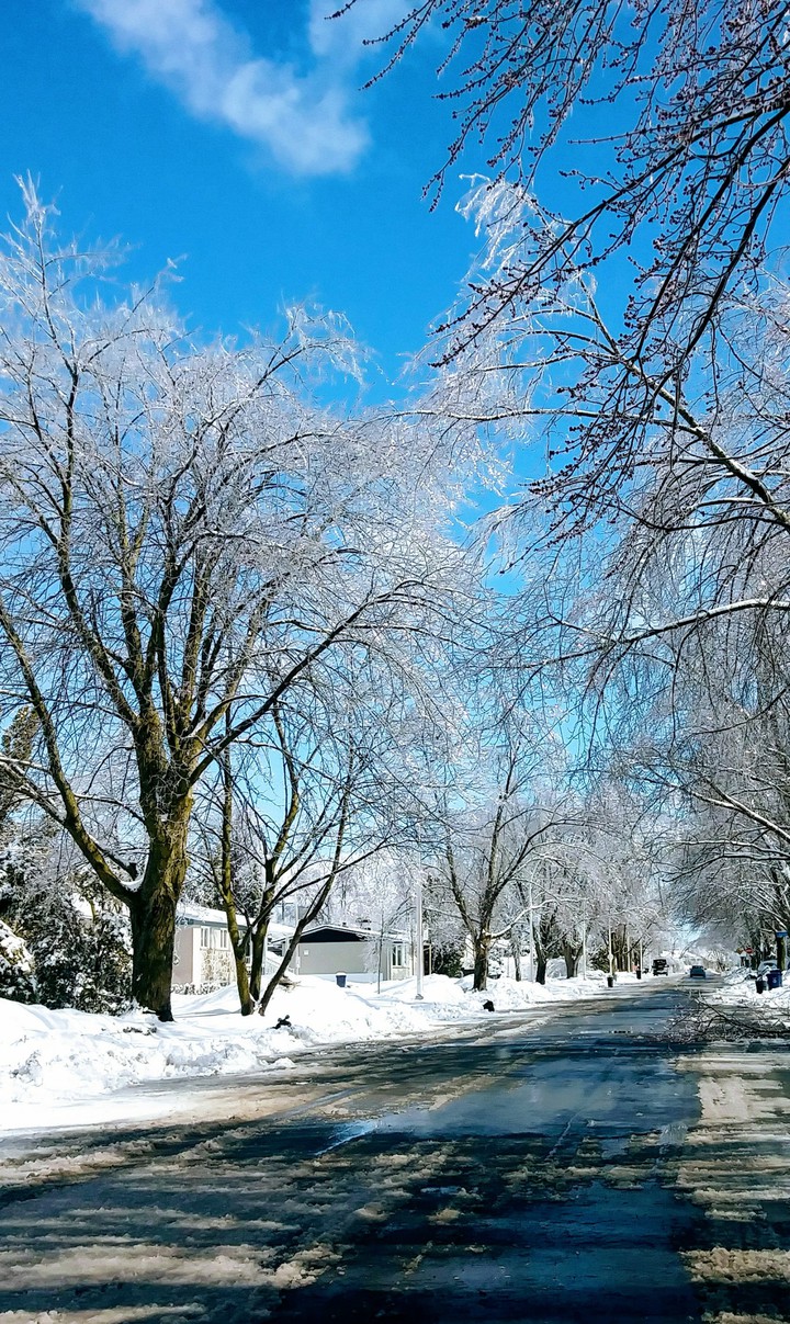 Ice in the neighborhood