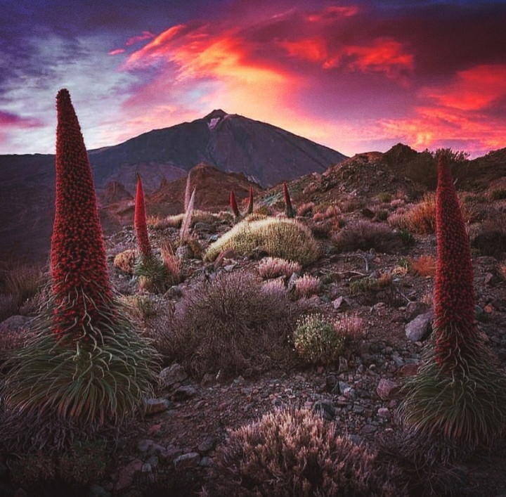 El Teide