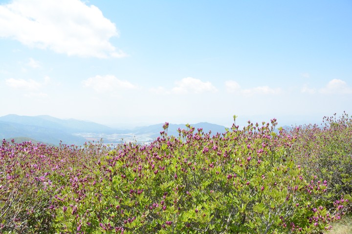 지리산이미지