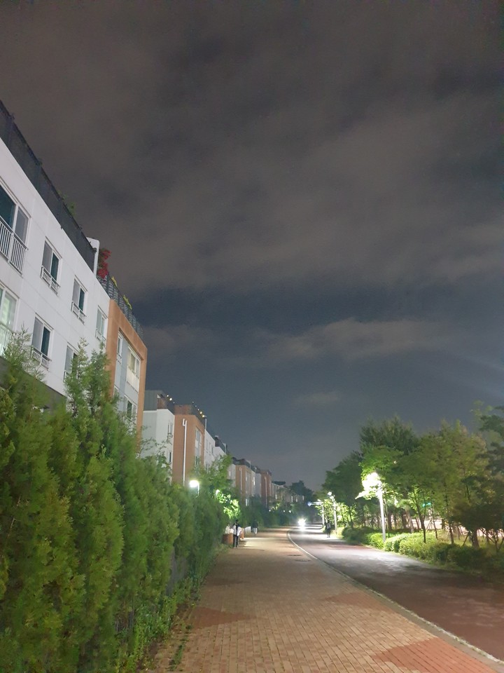 night view
