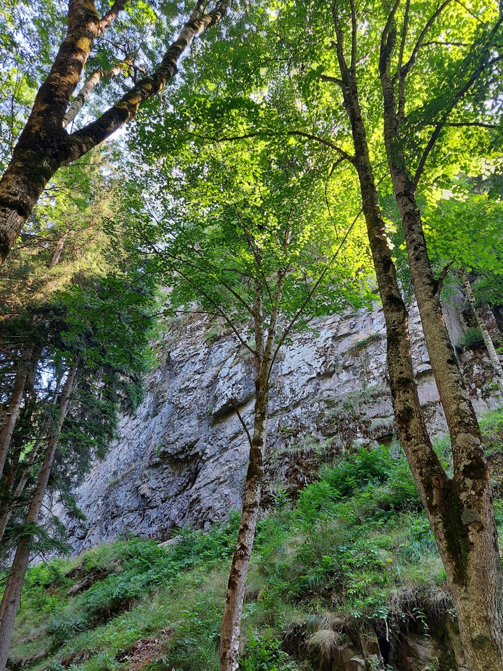 Nature