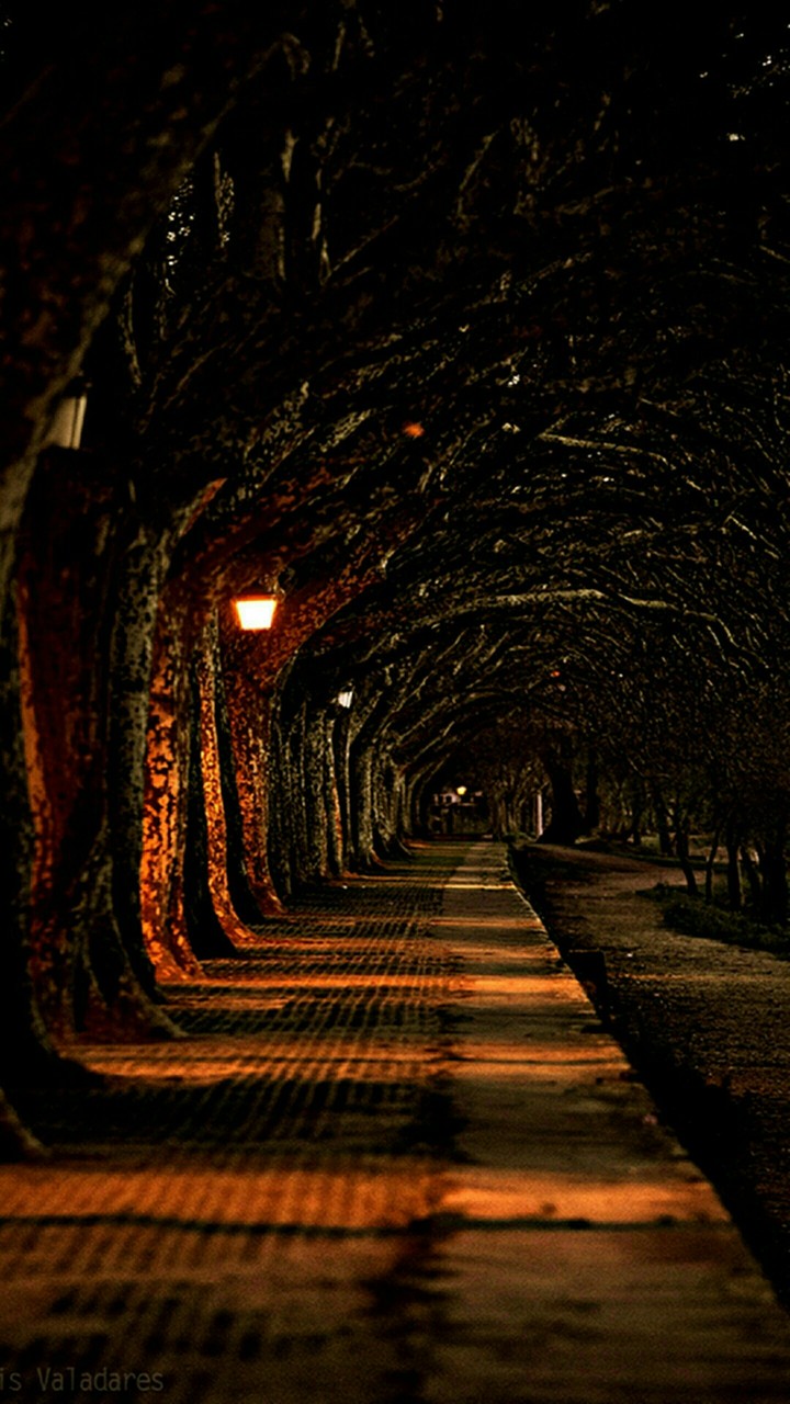 way of living