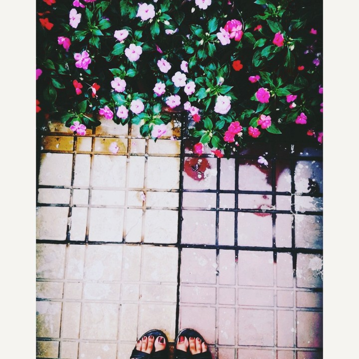 flowers