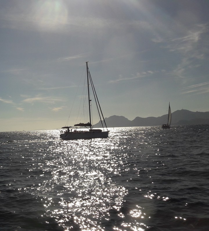 Sea