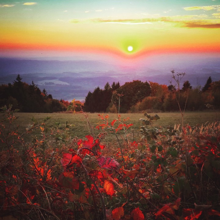 Autumn