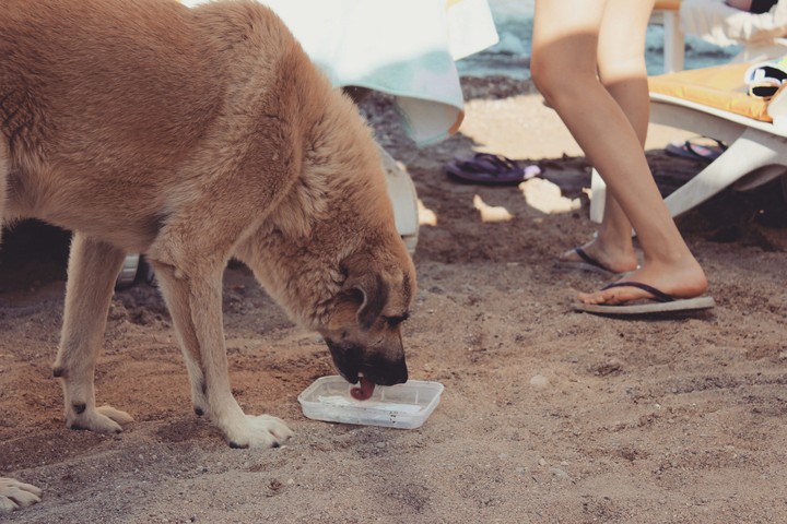 Thirsty boy