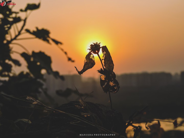 A SUNSET STORY