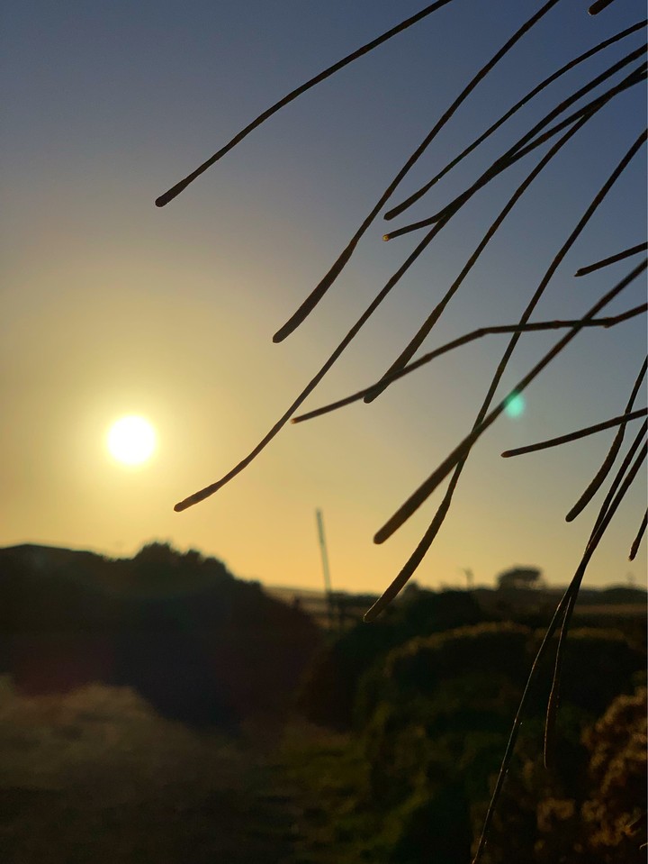 sunshine