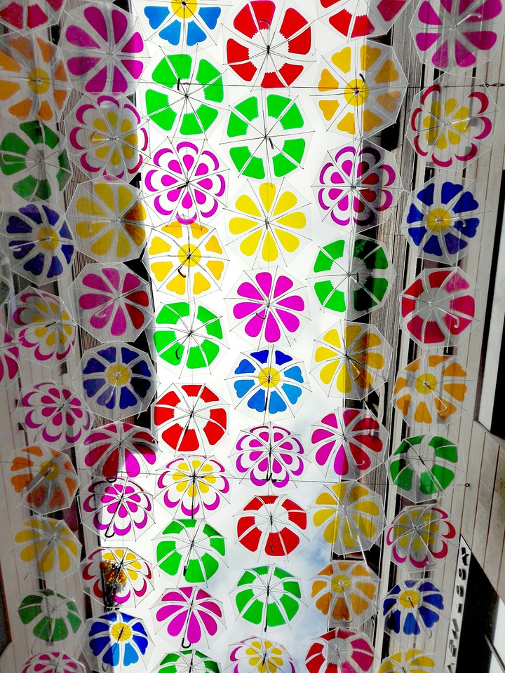 Umbrella