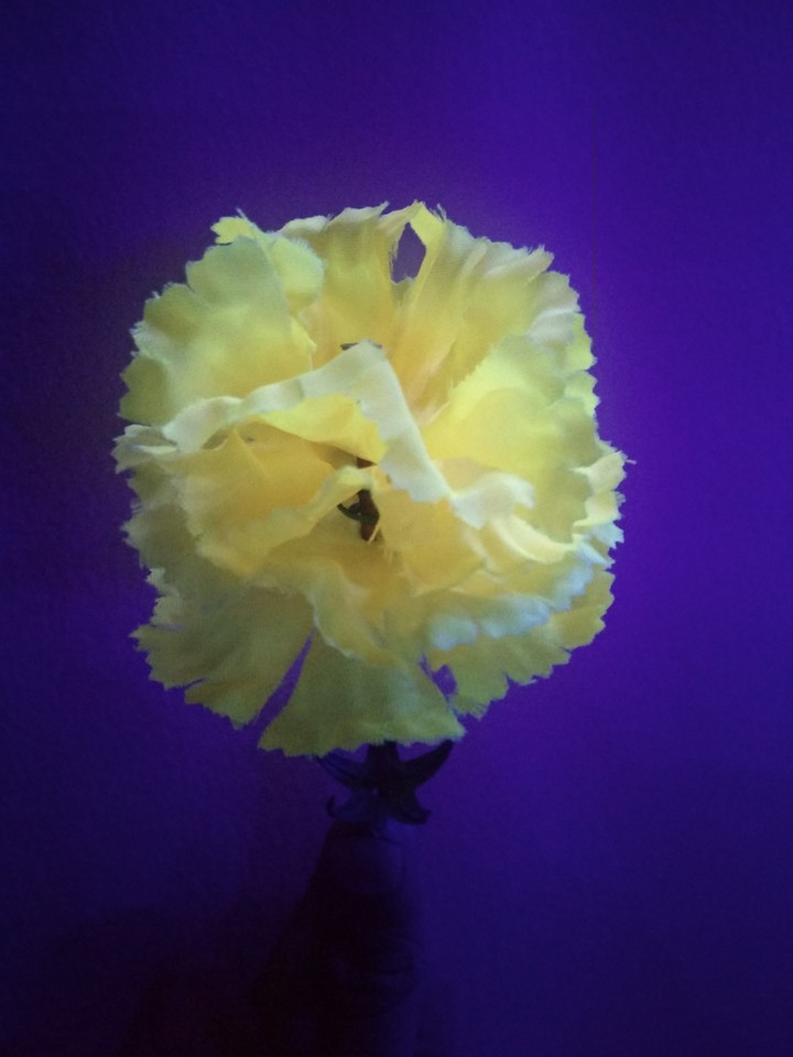 yellow wallpaper