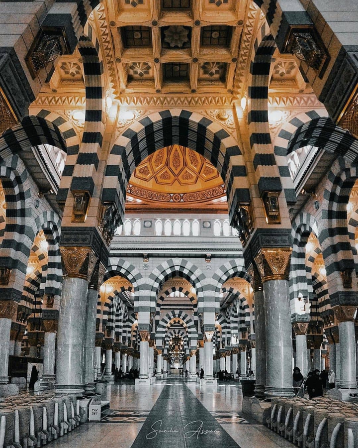 المدينة